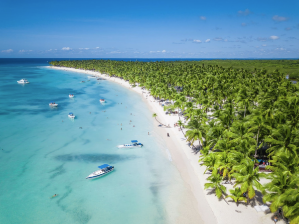 beautiful lush beach with crystal clear waters and palm trees in the dominican republic