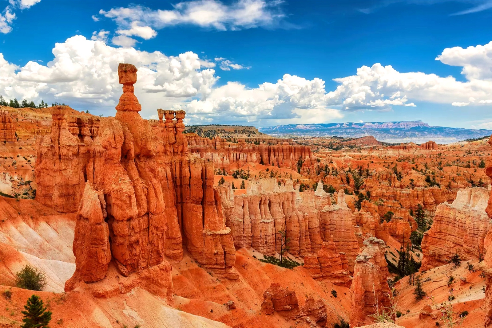 Bryce Canyon National Park Hoodoos: Explore the towering crimson rock spires or 'hoodoos' of Bryce Canyon National Park, offering otherworldly beauty and stunning vistas.