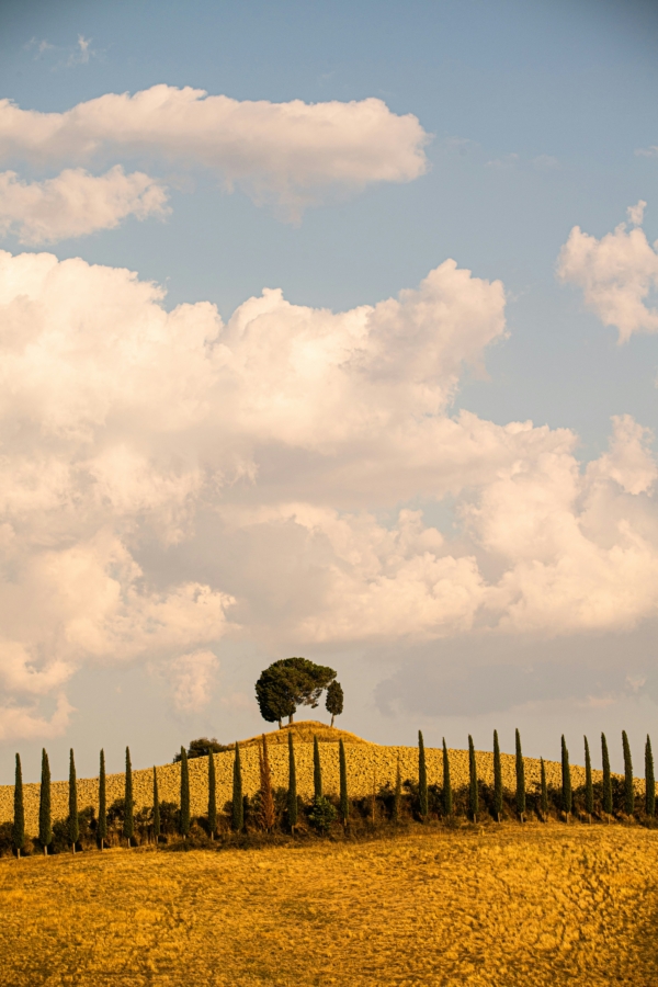 A Tuscan Dinner Party for 4